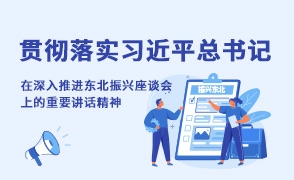 貫徹落實(shí)習(xí)近平總書(shū)記在深入推進(jìn)東北振興座談會(huì)上的重要講話(huà)精神